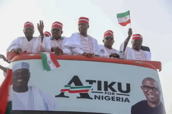 "See How One Man, Kwankwaso Became The Most Influential Politician In Africa"- Momodu